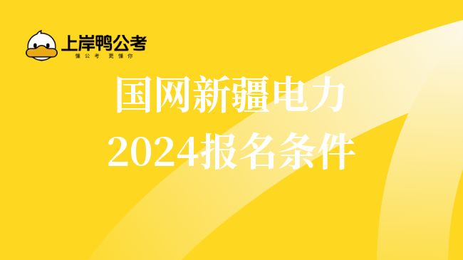 国网新疆电力2024报名条件