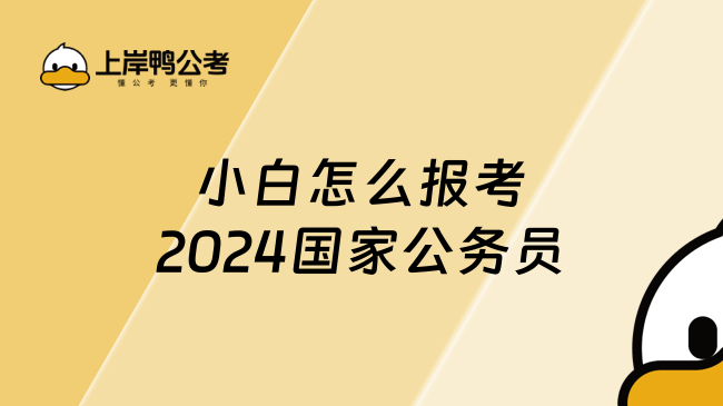 小白怎么报考2024国家公务员