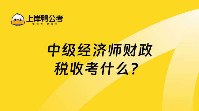 中级经济师财政税收考什么？