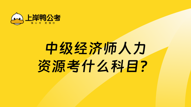 中级经济师人力资源考什么科目？