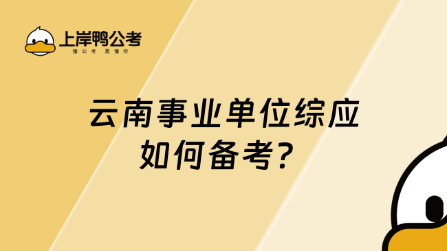 云南事业单位综应如何备考？