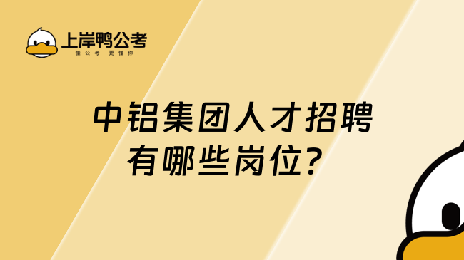 中铝集团人才招聘有哪些岗位？