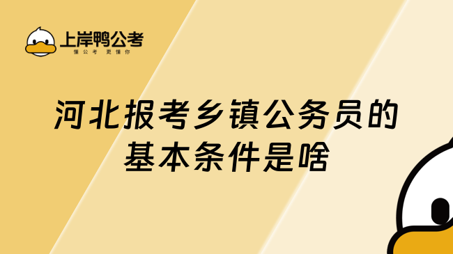 河北报考乡镇公务员的基本条件是啥