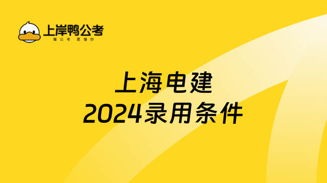 上海电建2024录用条件