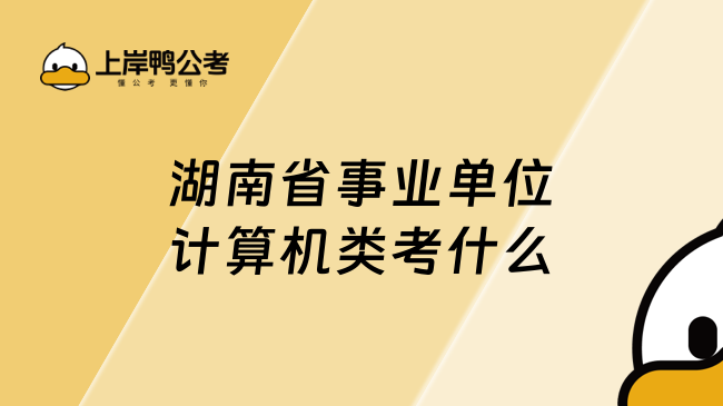 湖南省事业单位计算机类考什么