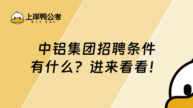 中铝集团招聘条件有什么？进来看看！