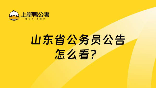 山东省公务员公告怎么看？