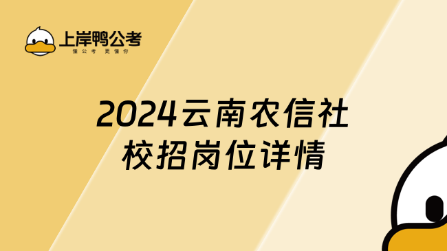 2024云南农信社校招岗位详情