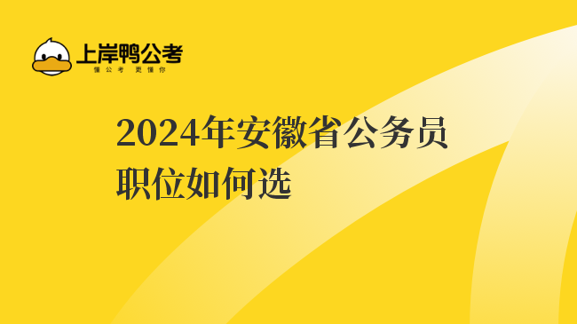 2024年安徽省公务员职位如何选