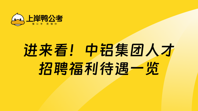 进来看！中铝集团人才招聘福利待遇一览