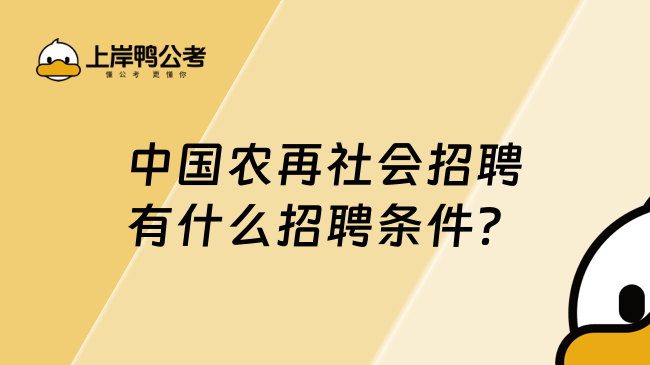 中国农再社会招聘有什么招聘条件？