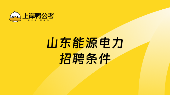 山东能源电力招聘条件