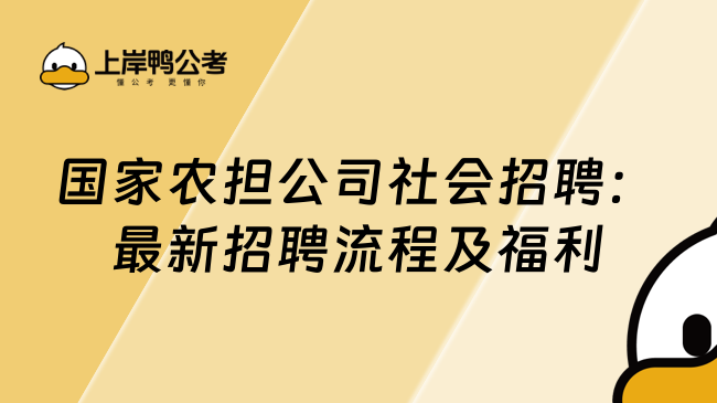 国家农担公司社会招聘：最新招聘流程及福利