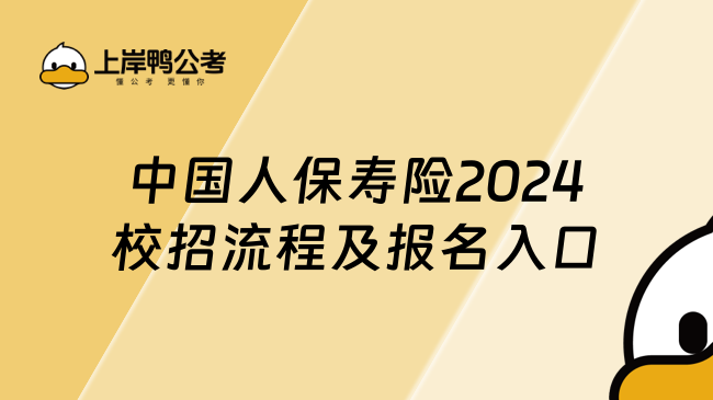 中国人保寿险2024校招流程及报名入口