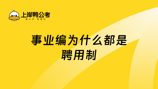 事业编为什么都是聘用制