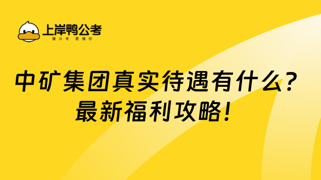 中矿集团真实待遇有什么？最新福利攻略！