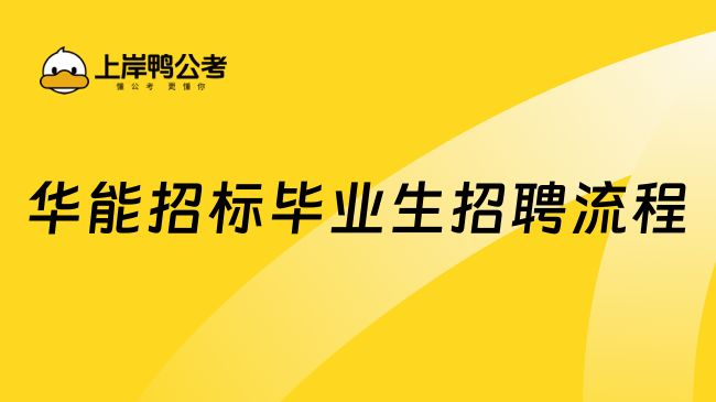 华能招标毕业生招聘流程