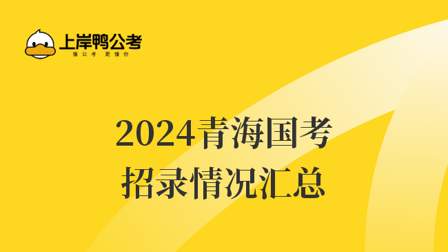 2024青海国考招录情况汇总