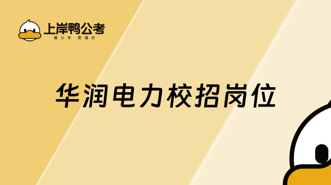 华润电力校招岗位