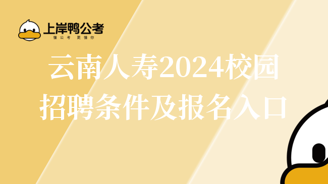云南人寿2024校园招聘条件及报名入口
