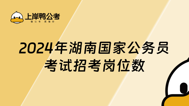 2024年湖南国家公务员考试招考岗位数