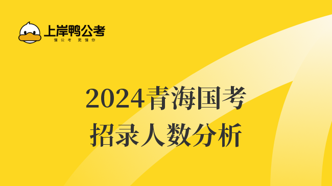 2024青海国考招录人数分析