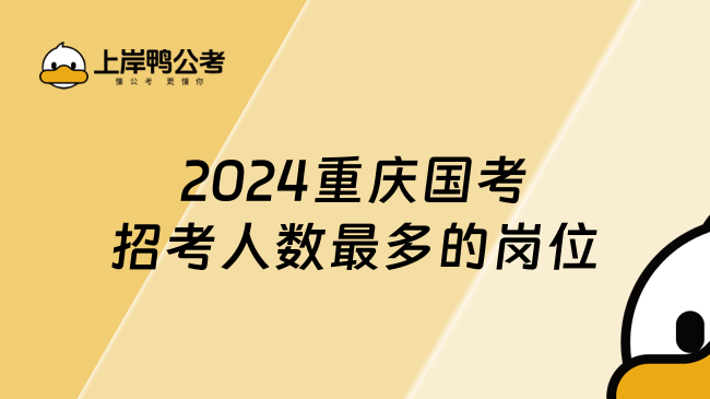 2024重庆国考招考人数最多的岗位