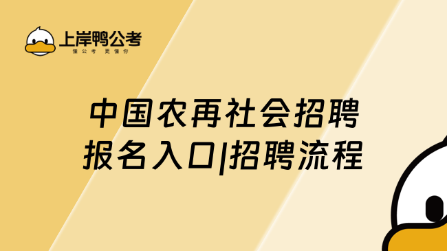 中国农再社会招聘报名入口|招聘流程