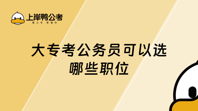 大专考公务员可以选哪些职位