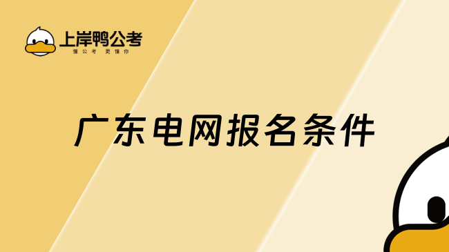 广东电网报名条件