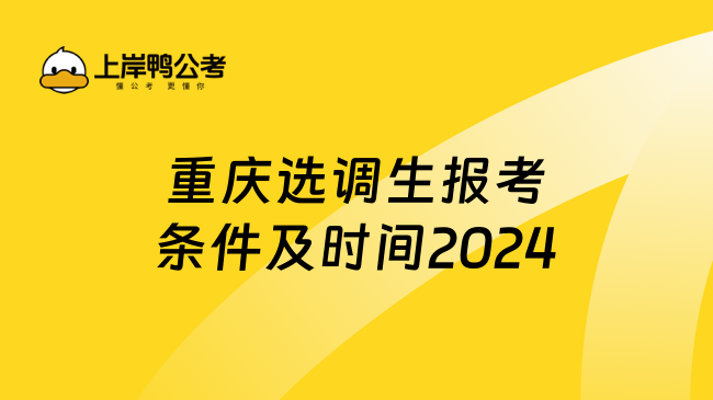 重庆选调生报考条件及时间2024