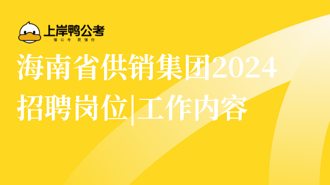 海南省供销集团2024招聘岗位|工作内容