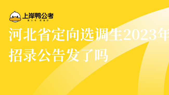 河北省定向选调生2023年招录公告发了吗