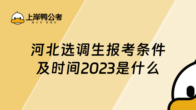 河北选调生报考条件及时间2023是什么