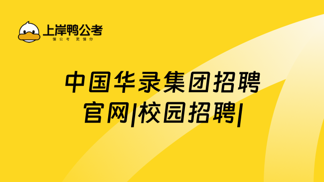 中国华录集团招聘官网|校园招聘|