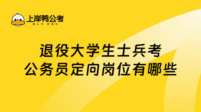 退役大学生士兵考公务员定向岗位有哪些