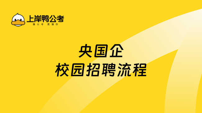 央国企校园招聘流程