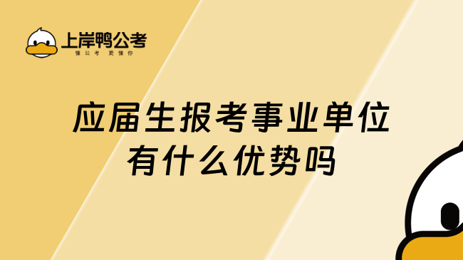 应届生报考事业单位有什么优势吗