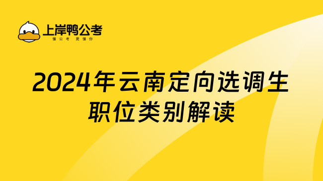 2024年云南定向选调生职位类别解读