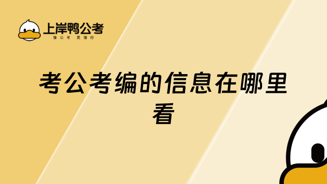 考公考编的信息在哪里看