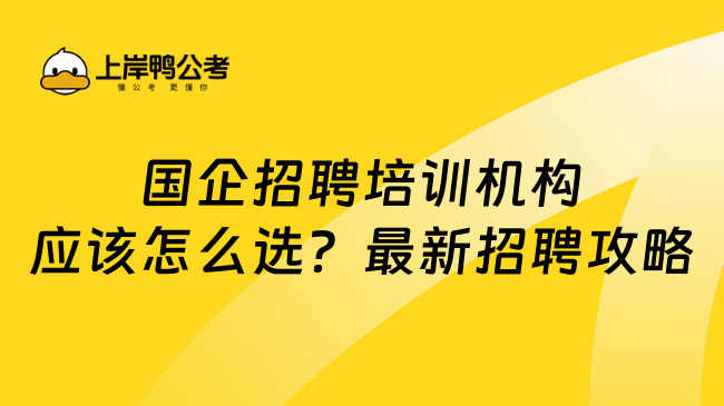 国企招聘培训机构应该怎么选？最新招聘攻略