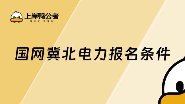 国网冀北电力报名条件