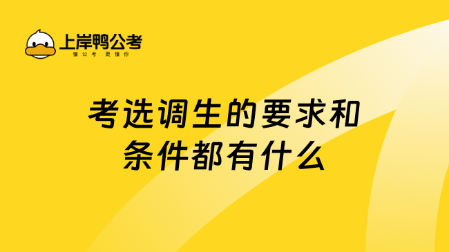 考选调生的要求和条件都有什么