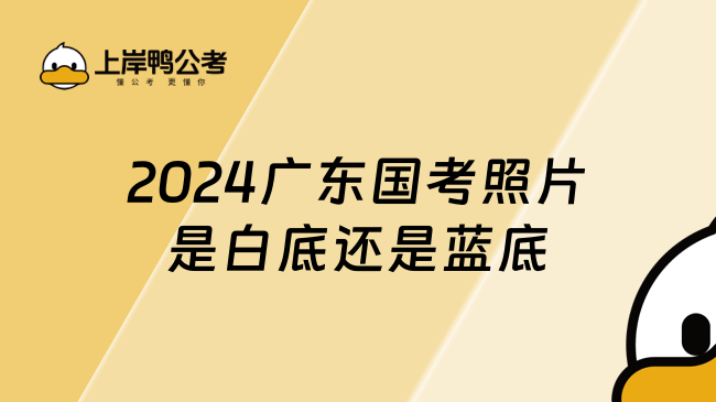 2024广东国考照片是白底还是蓝底