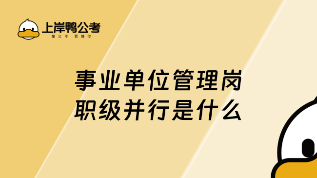 事业单位管理岗职级并行是什么