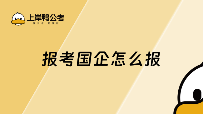 报考国企怎么报