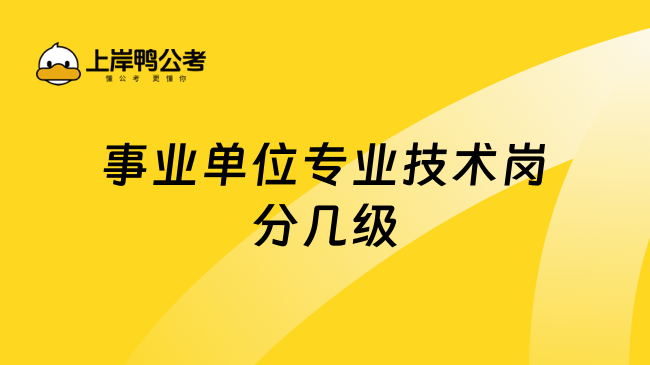 事业单位专业技术岗分几级