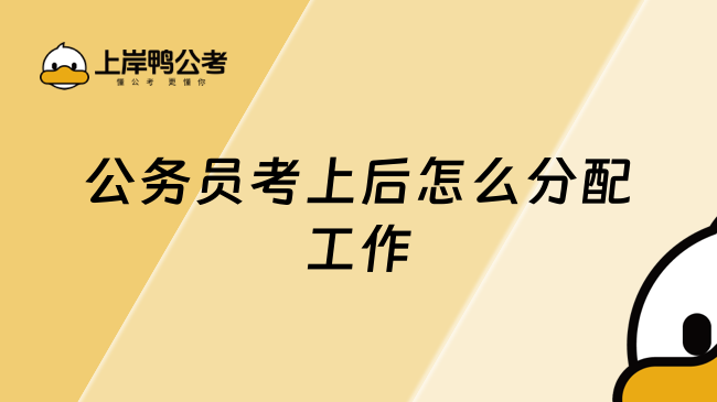 公务员考上后怎么分配工作