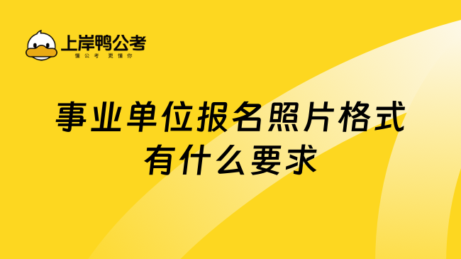 事业单位报名照片格式有什么要求