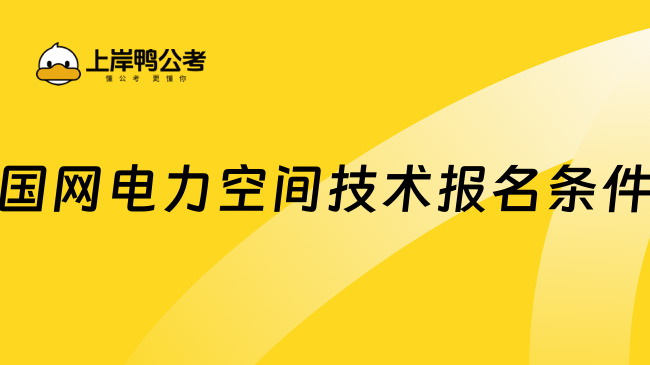 国网电力空间技术报名条件